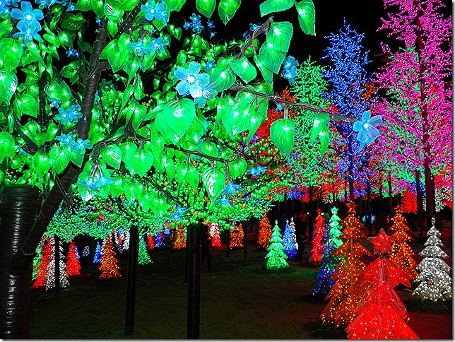 i-city LED trees