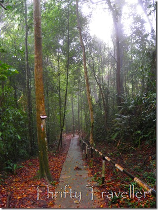 Path leading to Pulau Masjid Beach, Tanjung Tuan