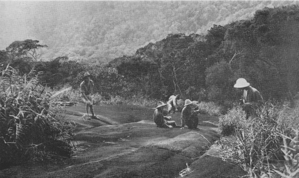 Photo taken on Mt. Ophir in 1934.